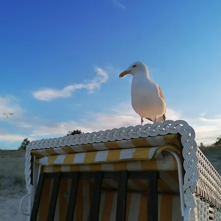 Am Kulm App 44 Mit Strandkorb * 제바트헤링스도르프